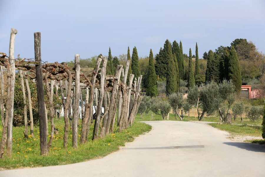 Panoramic Piran and Salt Pans: E-Bike Boutique Tour - Pace, comfort, and who should book