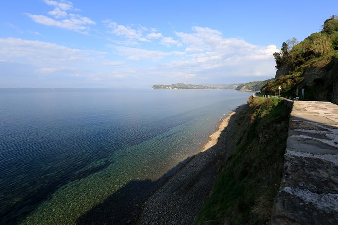 Panoramic Piran and Salt Pans: E-Bike Boutique Tour - Forma Viva, where sculpture meets the hill