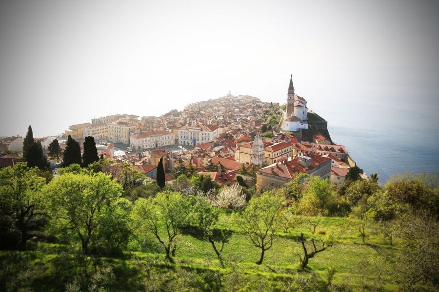 Panoramic Piran and Salt Pans: E-Bike Boutique Tour - Seča Park’s open-air sculpture collection