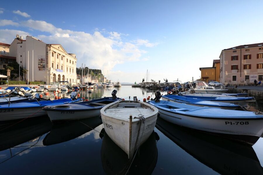 Panoramic Piran and Salt Pans: E-Bike Boutique Tour - Sečovlje salt pans and coastal wetlands