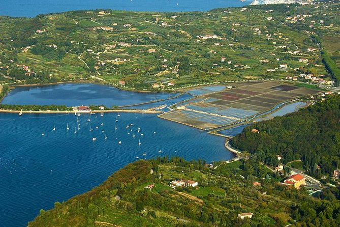 Piran and Scenic Slovenian Coast-Private Experience from Koper - Strunjan’s salt fields and coastal views