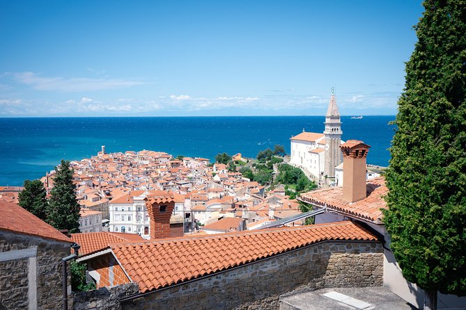 Piran Day Trip & Škocjan Caves - What the guide and transport add