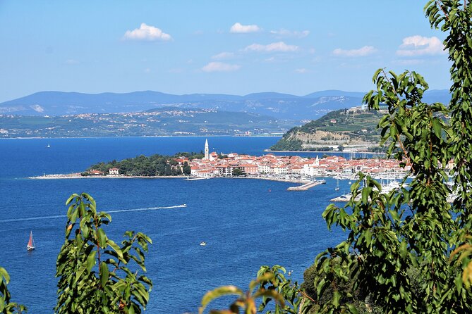 Piran & Panoramic Slovenian Coast - Small Group Tour from Koper - Local Food and Wine at a Small Café