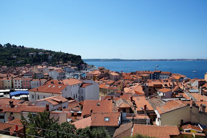 Piran & Panoramic Slovenian Coast - Small Group Tour from Koper - What the $107.23 Price Delivers