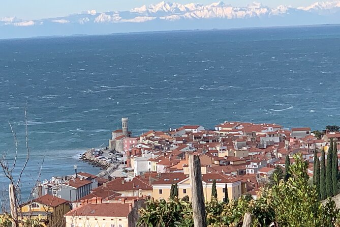 Piran & Panoramic Slovenian Coast Tour (up to 8 persons) - Why Piran makes a fine half-day outing