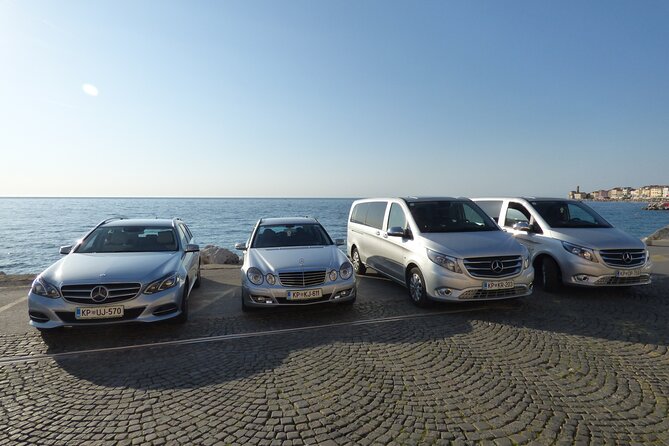Piran & Panoramic Slovenian Coast Tour (up to 8 persons) - Through olive trees and vineyards