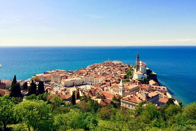 Piran Walking Tour with Local Wine and Food Tasting - First of May Square and the tasting stop