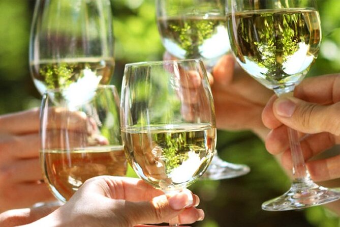 Piran wine & food walking tour - Key points to know before booking