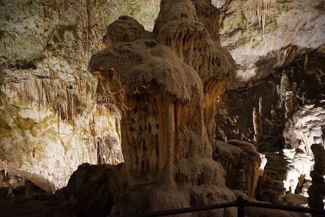 Postojna cave and Predjama castle Tour from Ljubljana - The pace, group size, and practical trade-offs
