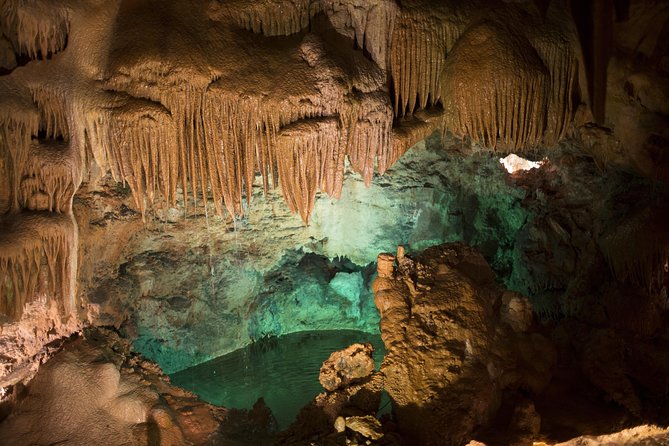 Postojna Cave & Predjama Castle - Is $307.03 a fair price?