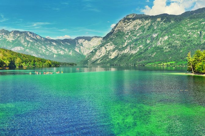 Private Bohinj & Vogel Tour from Bled - How much time do you really get?