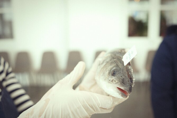 Private Mediterranean Fish Cooking Workshop with Irena - A Menu That Moves From Raw Fish to Seabass