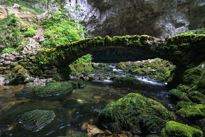 Private Postojna Cave & Predjama Castle Tour from Ljubljana - Who will get the most from this tour?