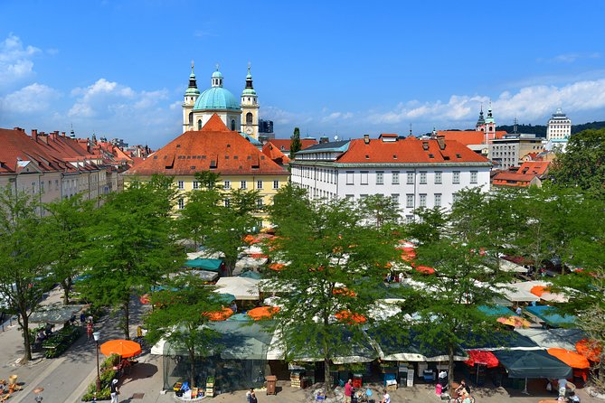 Private Walking Tour of Ljubljana Old Town - The guides and their teaching styles