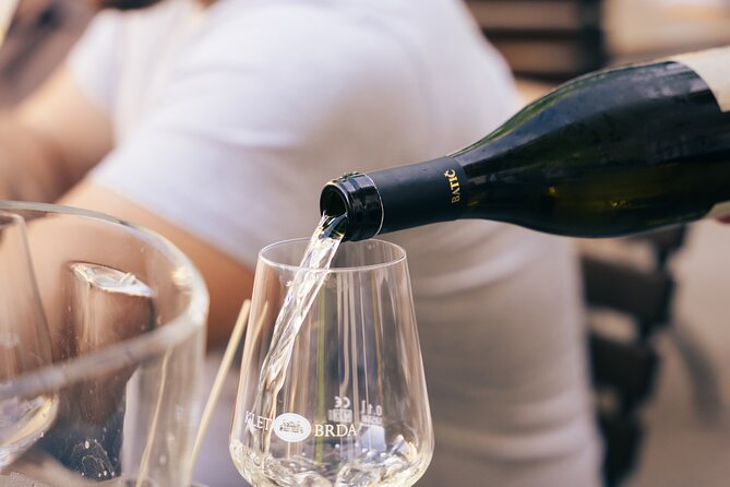 Private Wine Tasting Experience in Ljubljana - Key points to know before booking