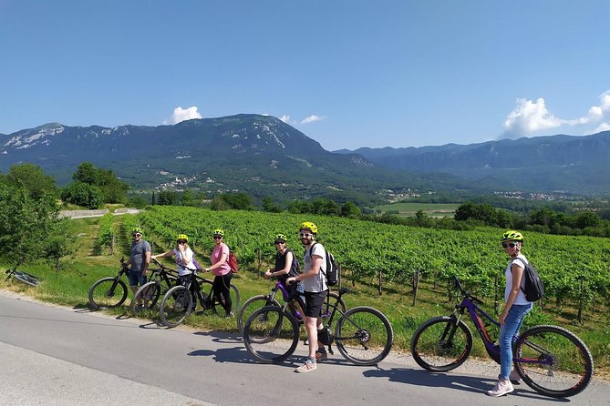 Secret vineyards E-bike tour - Tasting Secret Wine, Zelen, and Pinela
