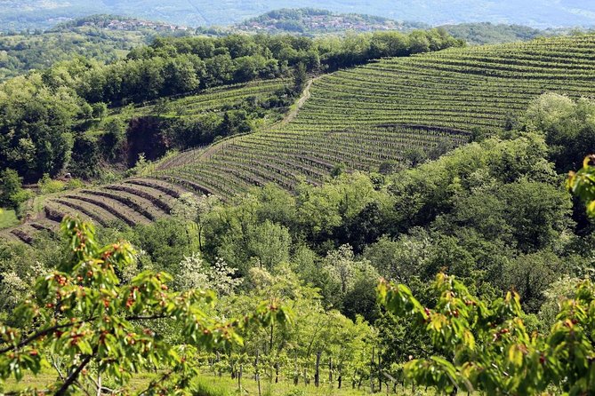 Secret vineyards E-bike tour - Who will enjoy this tour most