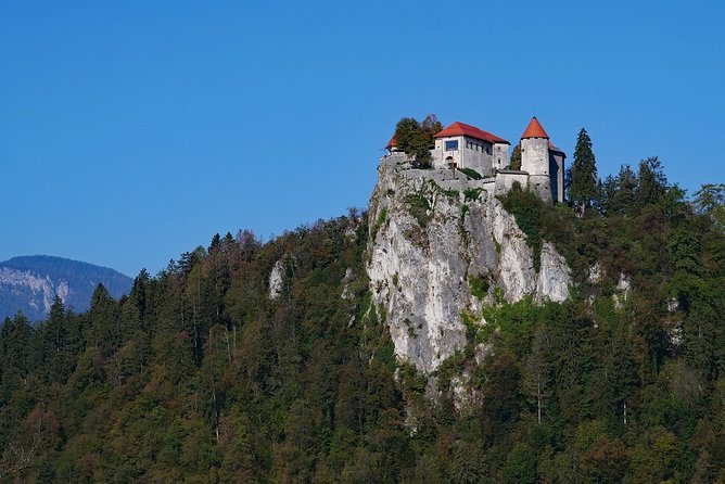 Shore Excursion/Private Tour - Lake Bled and Ljubljana from Koper - Bled cream cake, Slovenia’s famous sweet stop