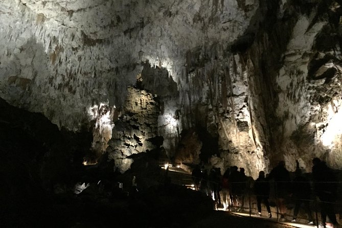 Skocjan Cave Day Trip From Ljubljana - The 8:30 a.m. pickup from Ljubljana