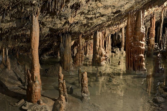 Skocjan UNESCO Caves and Piran full day tour (small group, max. 8) - The drive from Ljubljana to the Karst