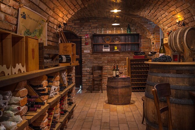 Slovenian wine tasting at Hotel Triglav Bled's wine cellar - The wines: native grapes and regional character