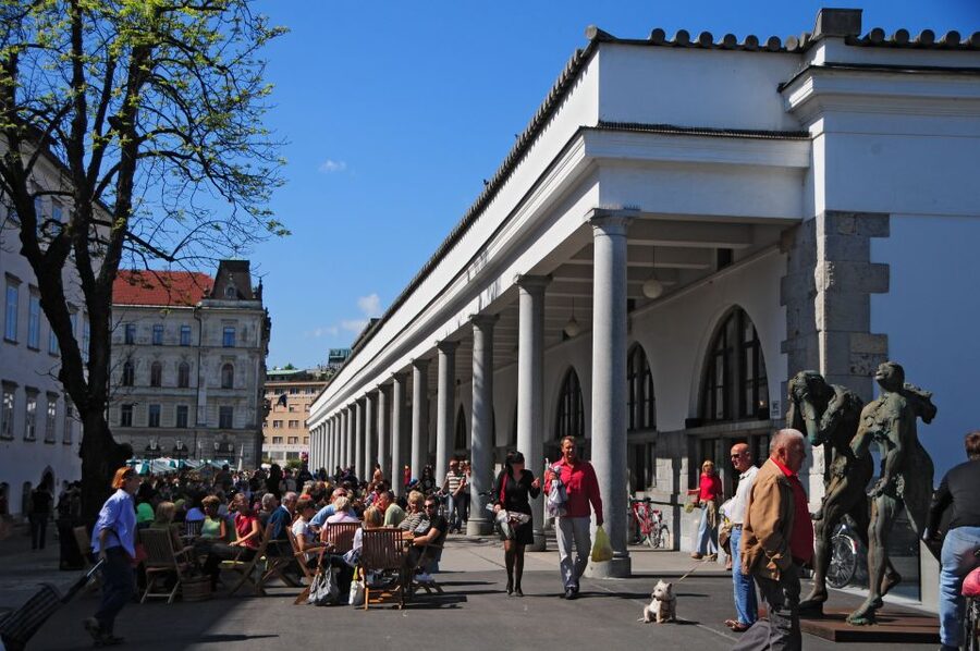Small Group (Max 6): Ljubljana Hidden Gems Tour from Koper - Triple Bridge, Preseren Square, and the old center