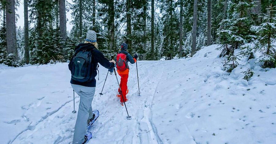 Snowshoeing in Triglav National Park - Key points to know before booking