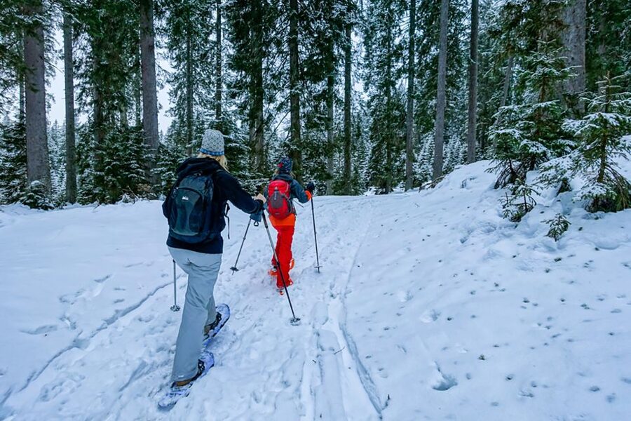 Snowshoeing in Triglav National Park - Learning to walk on snowshoes