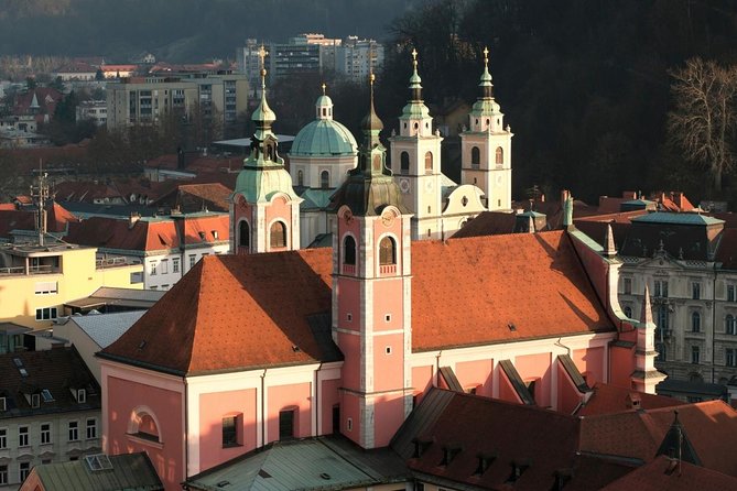 The Ljubljana's Cathedral Tour (St. Nicolas Church) - Why Ljubljana Cathedral Rewards a Slow Look