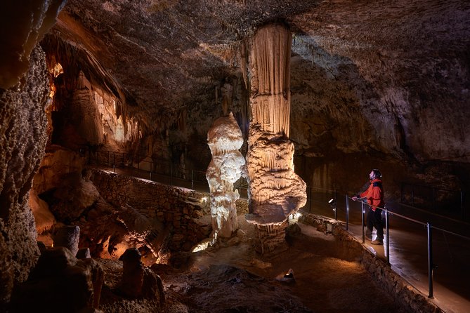Tour to Postojna and Predjama Castle from Koper - The human fish and the cave’s unusual wildlife