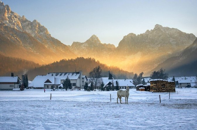 Triglav National Park and the Alps Private tour - Planica Nordic Centre and the thrill of ski flying
