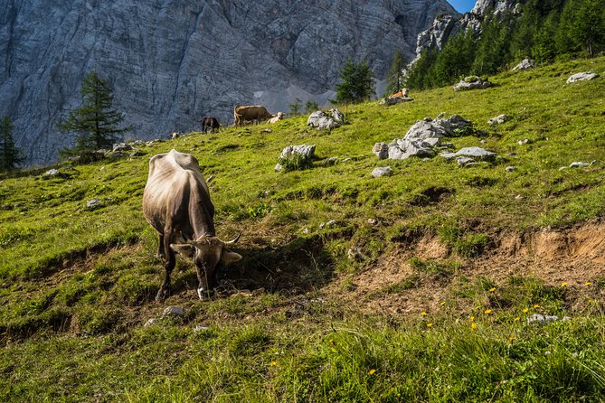 Triglav tour in 2 days Slovenia - What the guide adds to the experience
