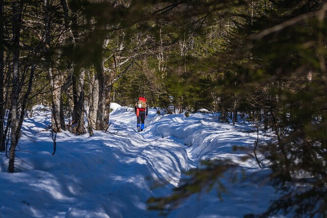 Triglav winter edition - Why this winter Triglav trip is different