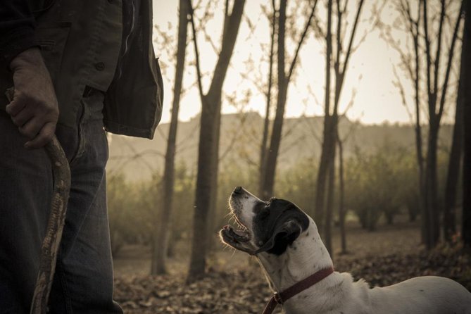 Truffle Hunting & Wine Tasting In Istria (private V.i.p. Tour) - Key points at a glance
