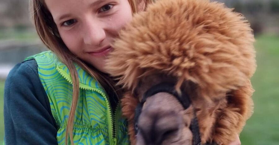 Walking with alpacas - Domačija Loncnar - Bohinj - Making the most of your photographs