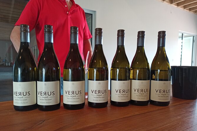 Wine and Culinary Adventure in Jeruzalem - Full Day Tour from Ljubljana or Ptuj - The long private drive from Ljubljana, Ptuj, or Maribor