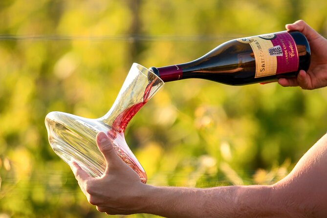 Wine Degustation in the Heart of Slovenian Istria - Arriving in Šmarje above Koper