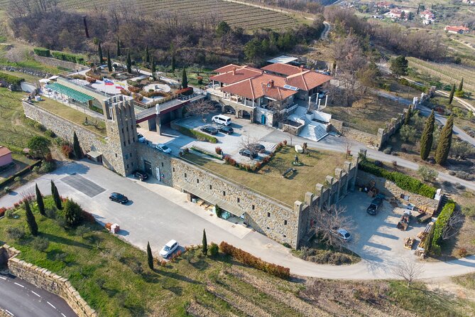 Wine Degustation in the Heart of Slovenian Istria - Local grapes meet international varieties