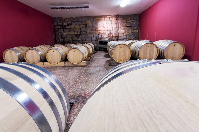 Wine Degustation in the Heart of Slovenian Istria - Who will get the most from this visit