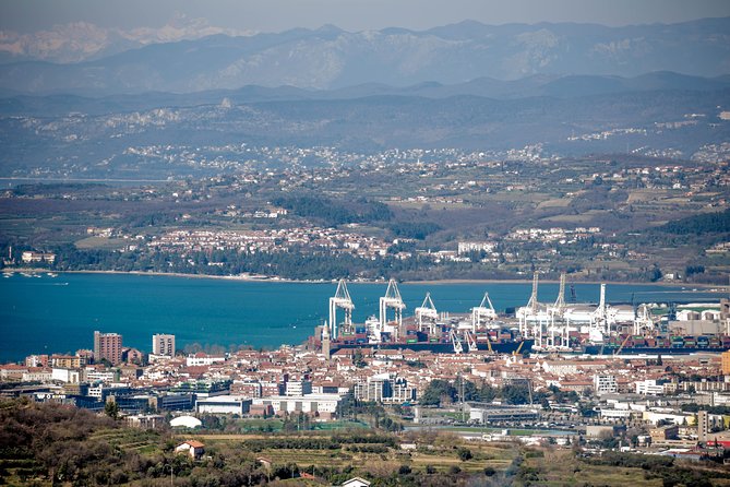 Wine Fountain Tour from Koper - Why the oldest Refošk vineyard matters