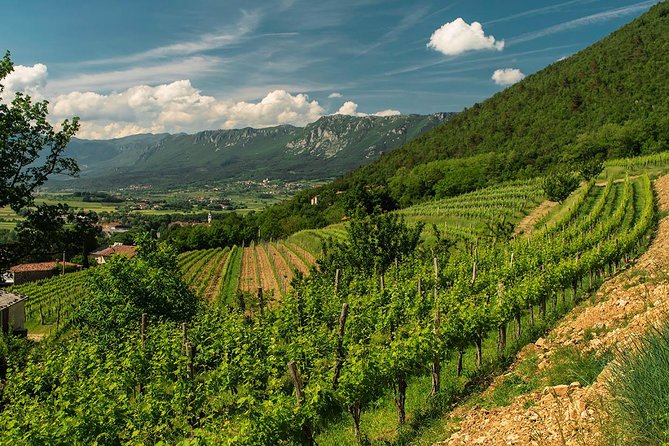 Wine Tasting with Cold Cuts - Arriving at the Vipava meeting point