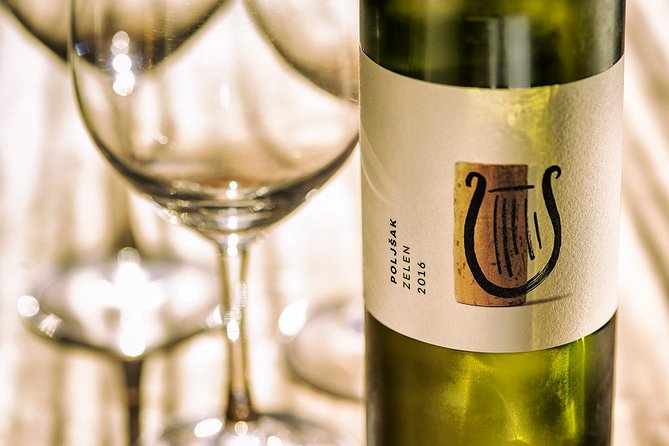 Wine Tasting with Cold Cuts - Going below the house into the wine cellar