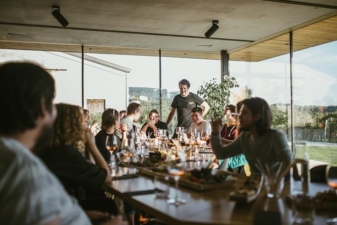 Wine Tasting with Pairing Snacks in Vipava Valley - Arriving at Lepa Vida in Šempas