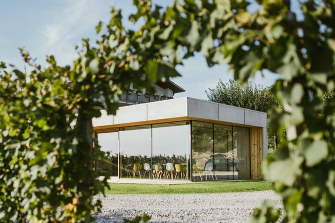 Wine Tasting with Pairing Snacks in Vipava Valley - Meeting Irena or Matija, the people behind the bottles
