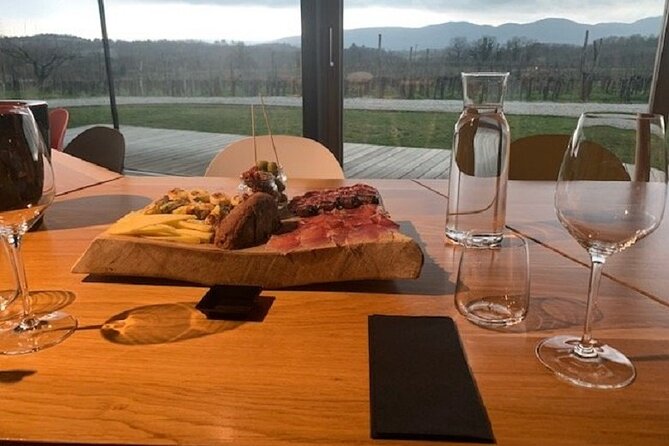 Wine Tasting with Pairing Snacks in Vipava Valley - A view and a modern setting