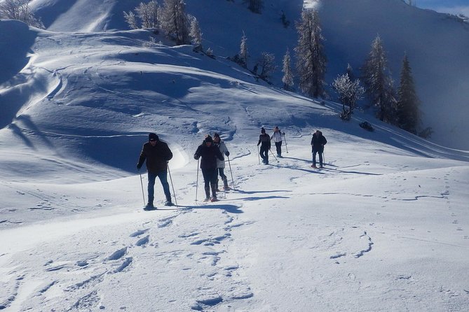 Winter Fairytale - Triglav National Park Half Day Trip - Why this winter trip works so well from Bled