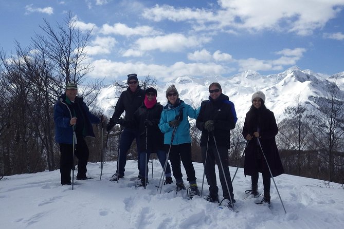 Winter Fairytale - Triglav National Park Half Day Trip - The walk to Savica Waterfall