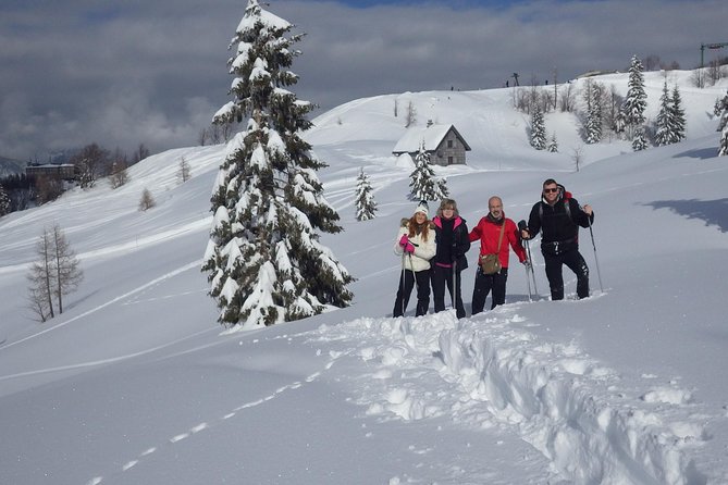 Winter Fairytale - Triglav National Park Half Day Trip - Snowshoeing through Pokljuka’s old ice country