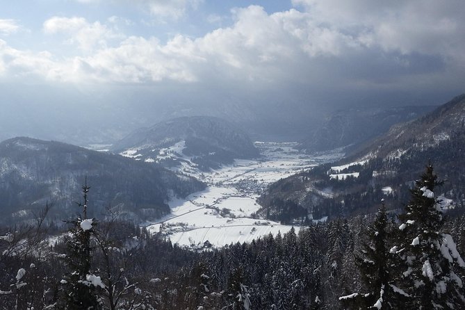 Winter Fairytale - Triglav National Park Half Day Trip - What the small group and minivan setup mean