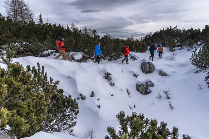 Winter Hike in Julian Alps - Starting from Bled and heading for Pokljuka